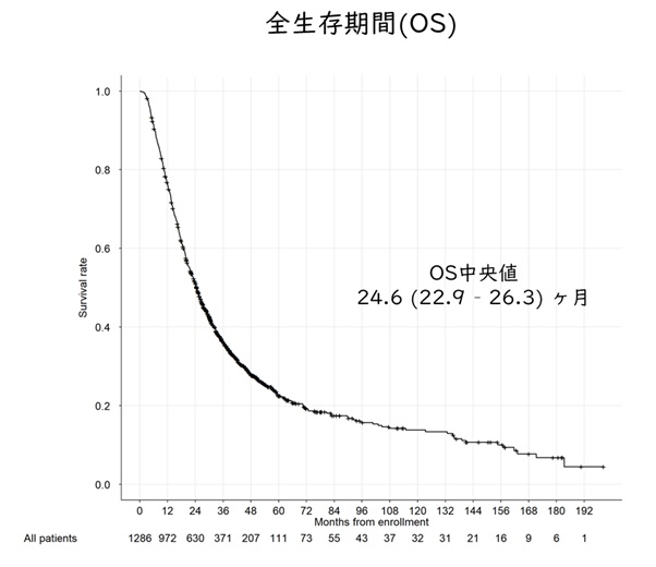 全生存期間